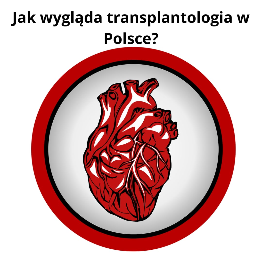 Transplantologia w Polsce - podstawowe informacje